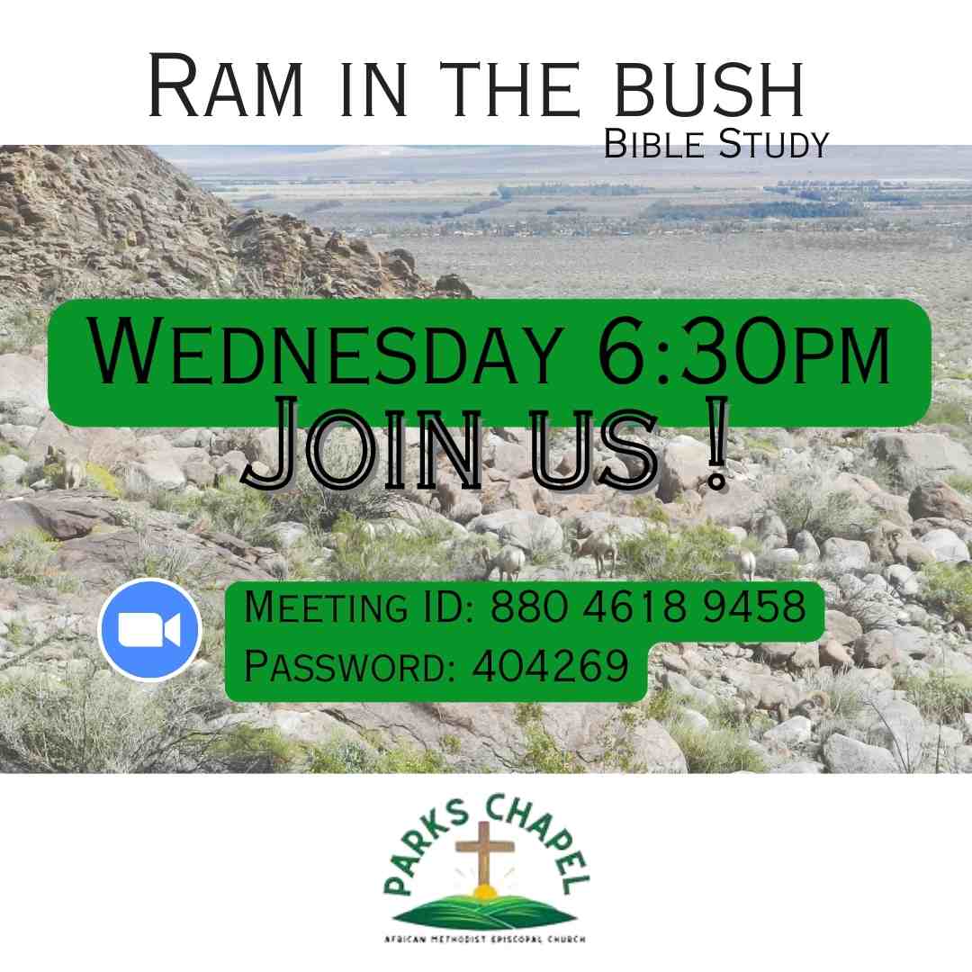 Ram in the Bush - Bible Study