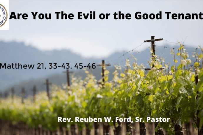 Are You The Evil or the Good Tenant?